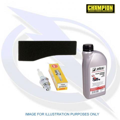 Genuine Service Kit for Champion Generator 73001I-DF
