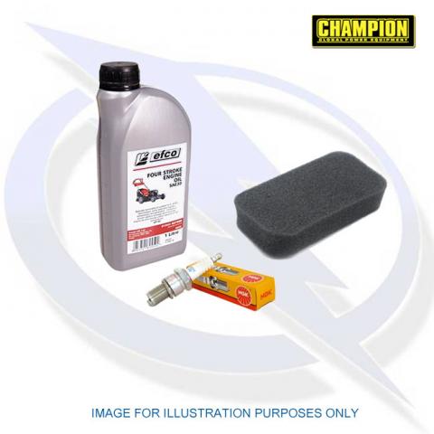 Genuine Service Kit for Champion Generator CPG7500E2-DF