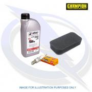 Genuine Service Kit for Champion Generator CPG3500